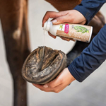 HIGIENIZADOR DE RANILLA BENSE & EICKE | 32243