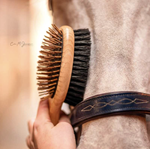 Cepillo doble cola y crines B&E  | 32231