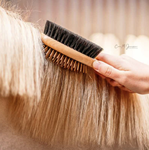 Cepillo doble cola y crines B&E  | 32231