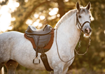 Montura Barefoot Cheyenne Pro | Good Vibes Equitación