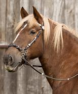 Brida Oaklet  | 21992