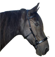 Brida-Cavesson BARO | 11592