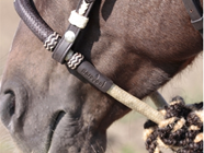 barefoot Bosal  | 11726