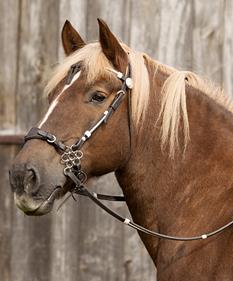 Brida Oaklet  | 21992