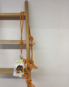 Cabezada de nudos  | 32043