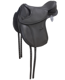 Barefoot Lexington | 11604