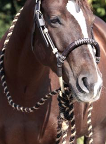 Barefoot mecate | 11728