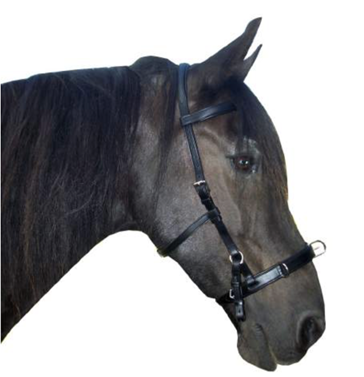 Brida-Cavesson BARO | 11592