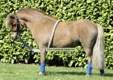 Cuerda de trabajo Peli  | 32125