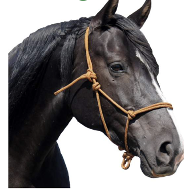 Cabezada de nudos F.R.A  | 11643